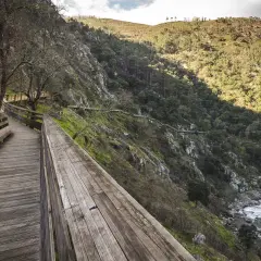 Senderos de madera serpentean por la ladera verde junto a un río. Fotos de los pasadizos del Paiva.