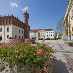 Tarnów atrakcje: Rynek z ratuszem i kamienicami, kwitnące pelargonie tworzą malowniczy widok.