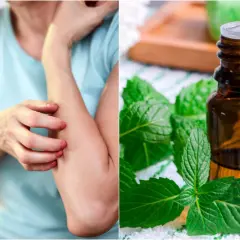 Persona con picazón en el brazo, junto a aceite esencial de menta. Posibles remedios caseros para la alergia a la humedad.