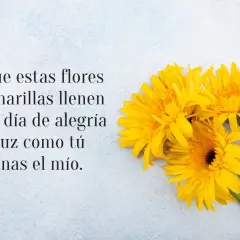 Flores amarillas, como frases sobre la primavera, llenan de alegría y luz.