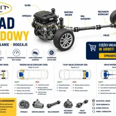 Schemat układu napędowego: silnik, skrzynia biegów, wał napędowy, mechanizm różnicowy, półosie. Dowiedz się, co to jest dyferencjał i jak działa.