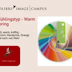 Farbpalette mit leuchtenden frühlingsfarben, die an Pfirsich und Mandarine erinnern. Kolibri-Image Campus.