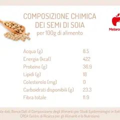 Composizione chimica dei semi di soia: scopri le proprietà nutrizionali, ricche di proteine e fibre, con pochi lipidi e zero colesterolo.