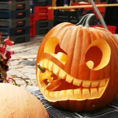 Rzeźby z dyni: Jak stworzyć zachwycające dekoracje na Halloween