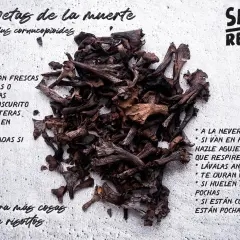 Trompetas de la muerte, también conocidas como Craterellus cornucopioides, listas para ser salteadas. Se ven frescas, oscuras y enteras.