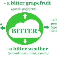 Grafika pokazuje chmurę z napisem "BITTER", otoczoną przykładami: gorzki grejpfrut, zaciekły spór, zgorzkniała osoba i przenikliwie zimna pogoda.