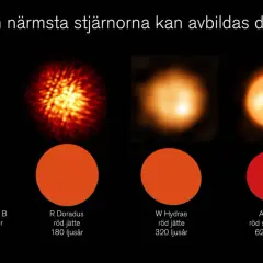Jämförelse av stjärnor och dvärgplaneten Pluto. Vår egen sol är en medelstor stjärna, mindre än de flesta röda jättar och superjättar som visas.