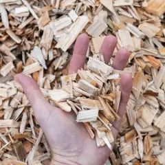 Dłoń trzymająca zrębki drewna, surowiec do produkcji energii biomasy.