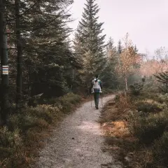 Osoba z dzieckiem w nosidle idzie leśną ścieżką. Obok znak szlaku czarnego.