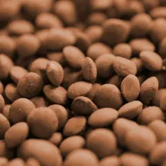 Nahaufnahme von braunen Linsen, bereit zum Kochen. Sie sind kleine, runde und leicht unregelmäßige Hülsenfrüchte, die eine gesunde Mahlzeit versprechen.