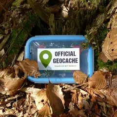 Ein blauer Geocache-Behälter liegt im Wald bei gc Georghausen, bedeckt mit Laub und Moos.