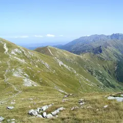 Widok na pasmo górskie z zielonymi zboczami i kamienistym szlakiem. W oddali widać kolejne, niebieskawe szczyty. To piękne Czerwone Wierchy.