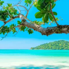 Traumhafte Bucht mit türkisblauem Wasser und üppiger Vegetation. Perfekt für die besten Reiseziele im Juli.