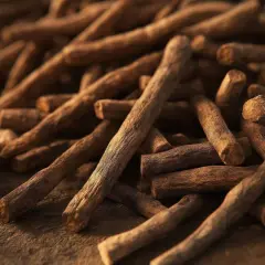 Kłącza ashwagandhy, idealne do przygotowania naparu. Poznaj zalecane ashwagandha dawkowanie dla najlepszych efektów.