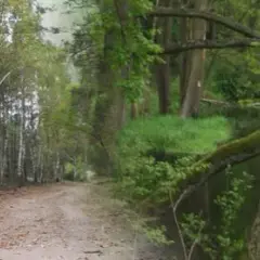Nowy Duninów atrakcje - odkryj nieznane skarby tej miejscowości