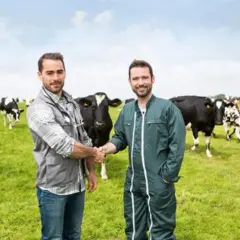 Due uomini si stringono la mano in un prato verde con tanti animali al pascolo.