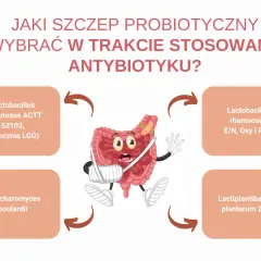 Grafika przedstawia jelita z plastrami i bandażami, obok nich cztery probiotyki, które mogą pomóc podczas antybiotykoterapii.