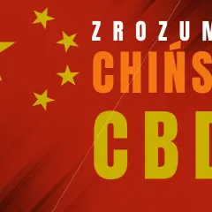 Chińskie kryptowaluty: co musisz wiedzieć o e-CNY i regulacjach