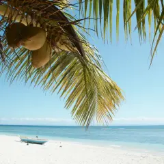 Palmy z kokosami nad białą plażą i turkusowym morzem, z łódką na piasku.