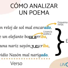 Ejemplo de estrofas de un poema con análisis de rimas y licencia poética.