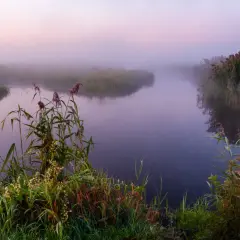 Narew: Miasta, historia i sekrety Polskiej Amazonii