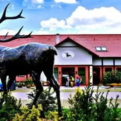 Milicz gdzie zjeść - odkryj najlepsze restauracje i smaki regionu