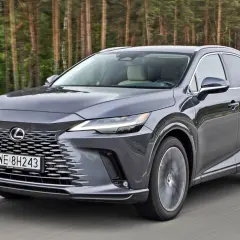 Szary Lexus RX jedzie przez las. Sprawdź aktualną lexus rx cena i wybierz swój wymarzony model.