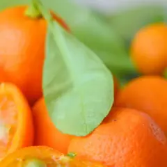 Ile kcal ma mandarynka? Zaskakujące fakty o kaloryczności tego owocu