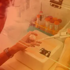 Badacz pracuje w komorze laminarnym, precyzyjnie pobierając próbki pipetą. To kluczowy etap w badaniach nad biotechnologią molekularną.