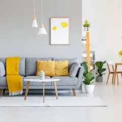 Graue wandfarben im Wohnzimmer harmonieren perfekt mit gelben Akzenten auf dem Sofa und dem Essbereich.