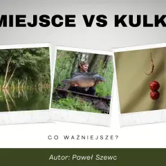 Miejsce czy kulki? Wędkarz z karpiem i przynęty na karpia. Co ważniejsze?