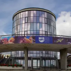 Oceanarium w Niechorzu - fascynujące atrakcje i praktyczne informacje