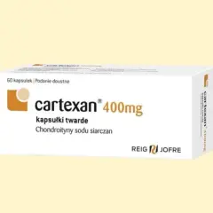 Cartexan: Jak działa lek na zwyrodnienie stawów?