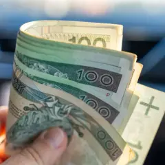 Dłoń trzyma zwitek polskich banknotów 100 zł. Może to być pomoc w utrzymaniu mopsa, zasiłek pielęgnacyjny.