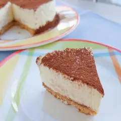 Una porción de tarta de queso fría, espolvoreada con cacao, reposa en un plato de colores. El postre perfecto para un día caluroso.