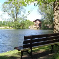 Ławka nad jeziorem, idealne miejsce na chwilę wytchnienia w **dolinie radości**. W tle dom z muru pruskiego i bujna zieleń.