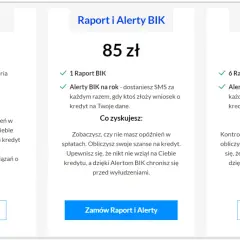 Jak sprawdzić BIK za darmo i płatnie? Pełny przewodnik Patryka Kowalczyka
