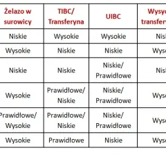 Co to jest badanie TIBC? Kluczowe informacje o zdolności wiązania żelaza
