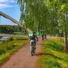 Rowerzyści przemierzają malownicze trasy rowerowe Beskidy, ciesząc się zielenią i słońcem.