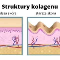 Do czego służy kolagen? Poznaj jego kluczowe funkcje i korzyści