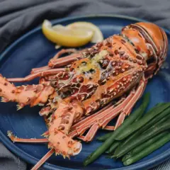 Una langosta marisco, cocinada y servida con judías verdes y una rodaja de limón en un plato azul.