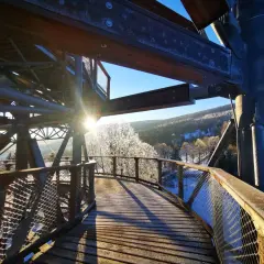 Świeradów Zdrój Sky Walk w zimowej odsłonie. Drewniana ścieżka wśród mroźnych drzew, słońce przebija się przez konstrukcję.