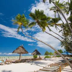 Plaża na Zanzibarze z palmami, leżakami i parasolami pod błękitnym niebem.