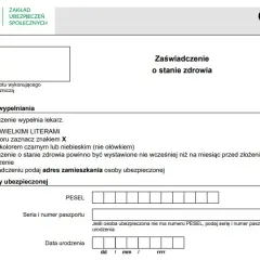 Jak wypełnić wniosek o rentę socjalną, unikając najczęstszych błędów