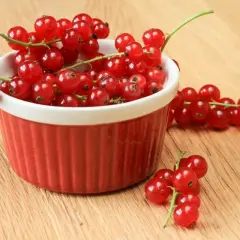 Pyszny dżem z czerwonej porzeczki w czerwonej miseczce, gotowy do podania.
