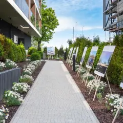 Szczecin co zobaczyć? Odkryj Floating Garden i jego perły!