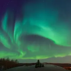 Zielona zorza polarna nad ośnieżonym krajobrazem z drzewami i gwiazdami na nocnym niebie.