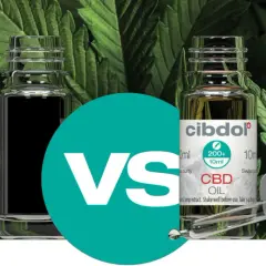 Co to jest THC i CBD? Różnice, działanie, legalność w Polsce