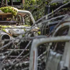 En mossbelupen bilkyrkogård i Sverige. Rostiga vrak omgivna av grönska, en tidlös scen av naturens återtagande.