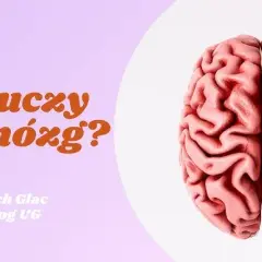 Jak uczy się mózg pdf - poznaj sekrety nauki i efektywnego uczenia się